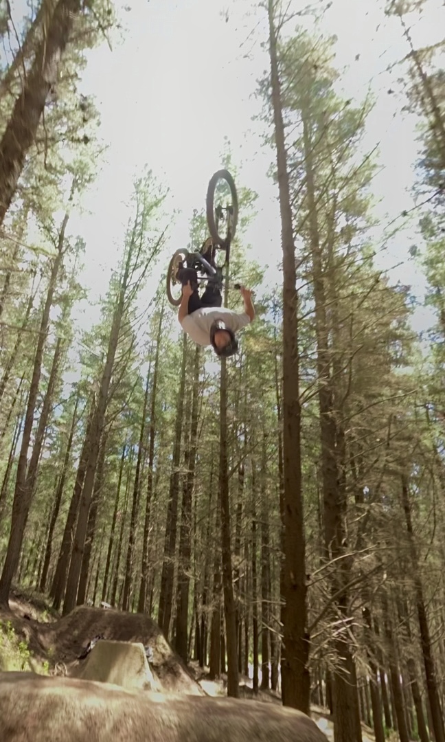 Vertical project poster