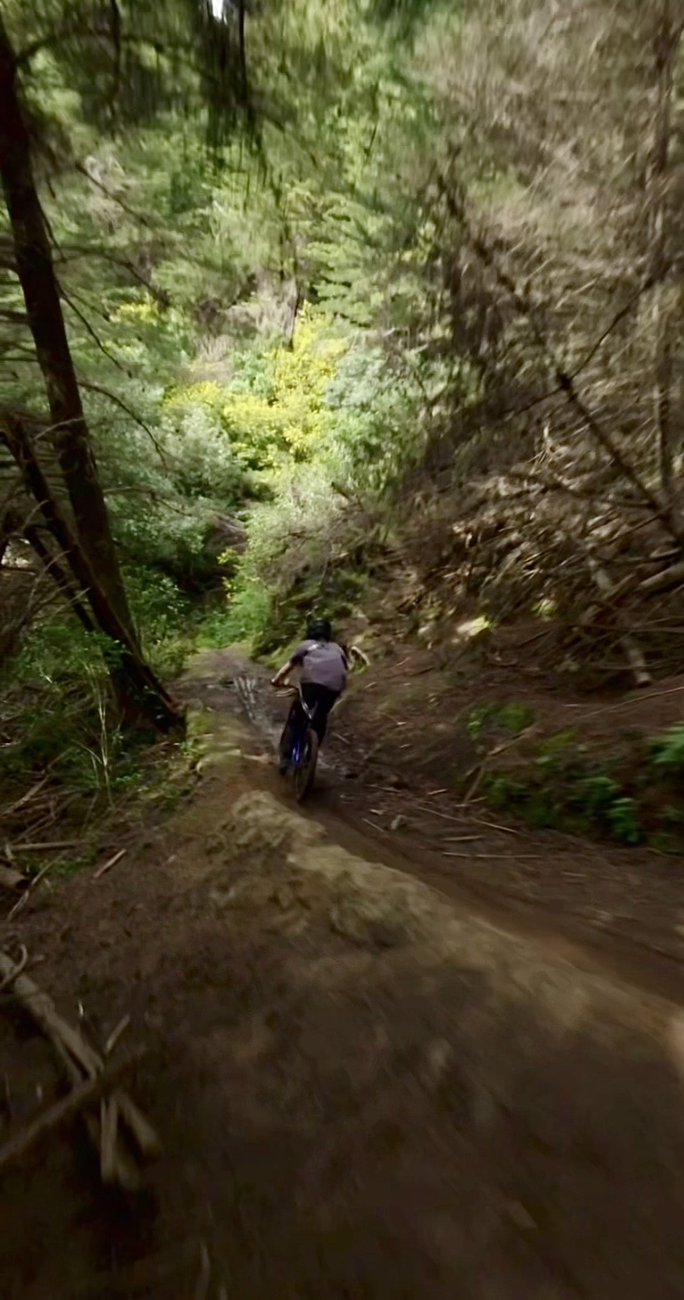 Vertical project poster